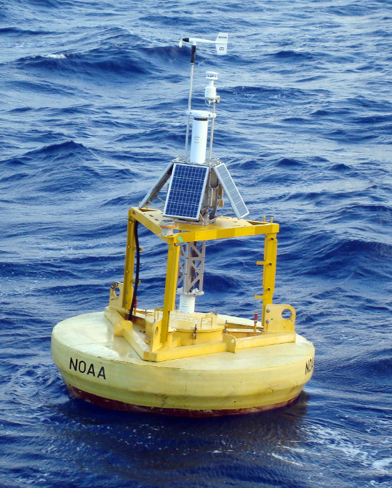 Picture of buoy